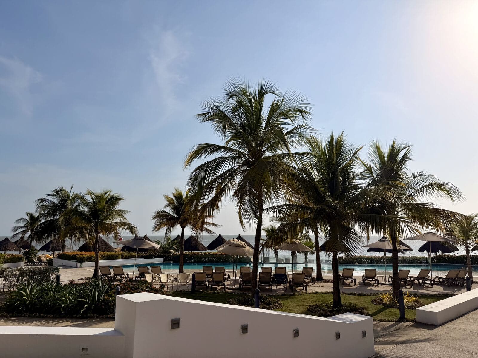 Palms over an infinity pool by the coast at golden hour